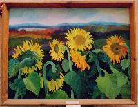 Velyko-Mickailivka sunflowers